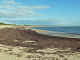 la côte Sud Ouest : la plage des sables d'Or