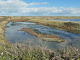 les marais salants