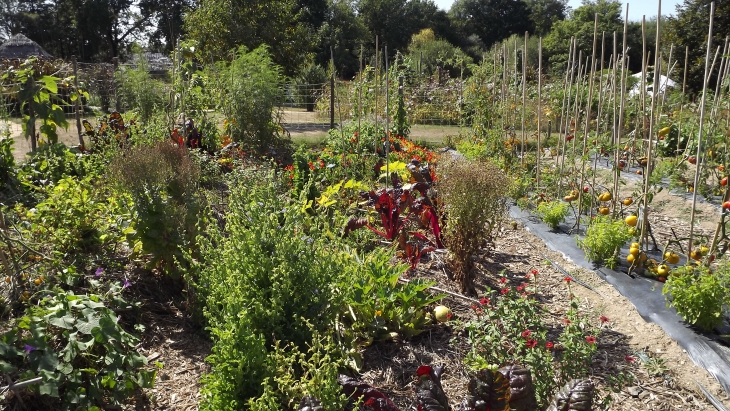 Le potager extraordinaire - La Mothe-Achard