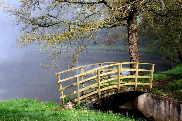 Petit pont de bois (plan d'eau) - La Rabatelière