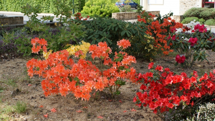 Parterre fleuri devant le cimetière - La Rabatelière