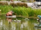 Photo précédente de La Roche-sur-Yon Le Parc ( animaux métalliques animés )