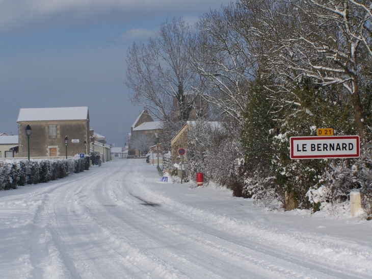 Blanc comme neige - Le Bernard