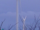 Les éoliennes du Bernard sous la neige !