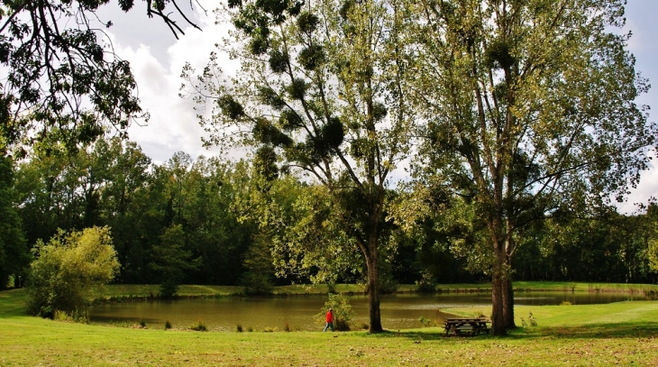 L'étang - Le Champ-Saint-Père