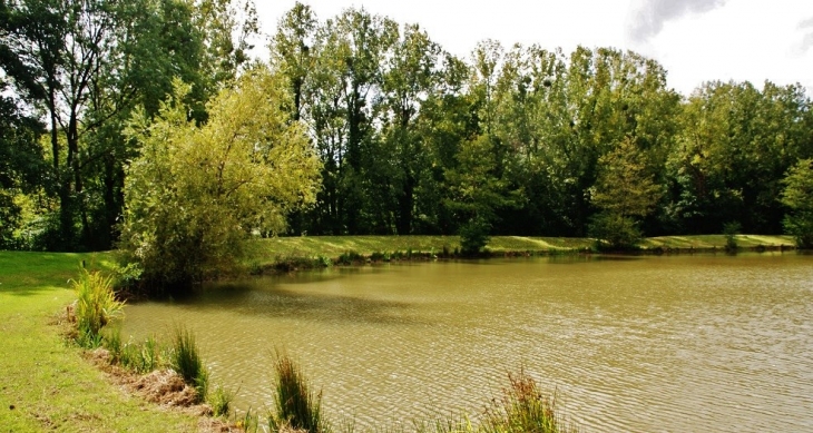 L'étang - Le Champ-Saint-Père