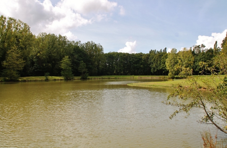 L'étang - Le Champ-Saint-Père