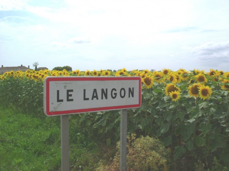 Tournesol du Langon - Le Langon