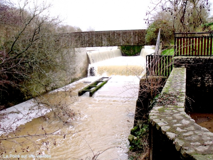 Retenue d'eau du moulin a Elise - Le Poiré-sur-Vie