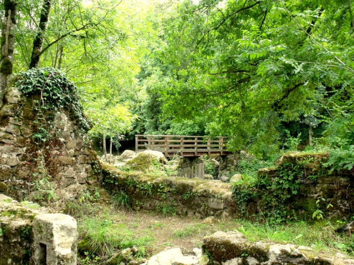 Ruines d'un des nombreux moulins de la vallée de l'Yon - Le Tablier