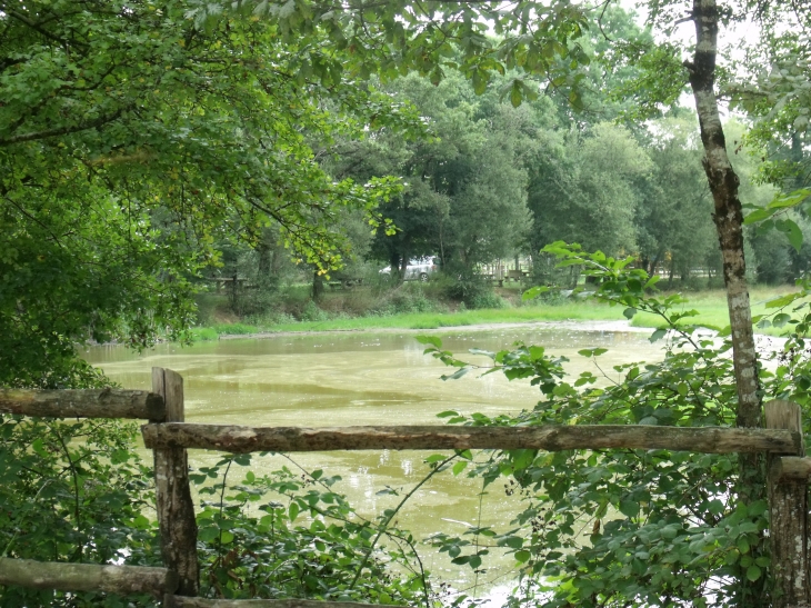 L'Etang près du refuge de Grasla - Les Brouzils