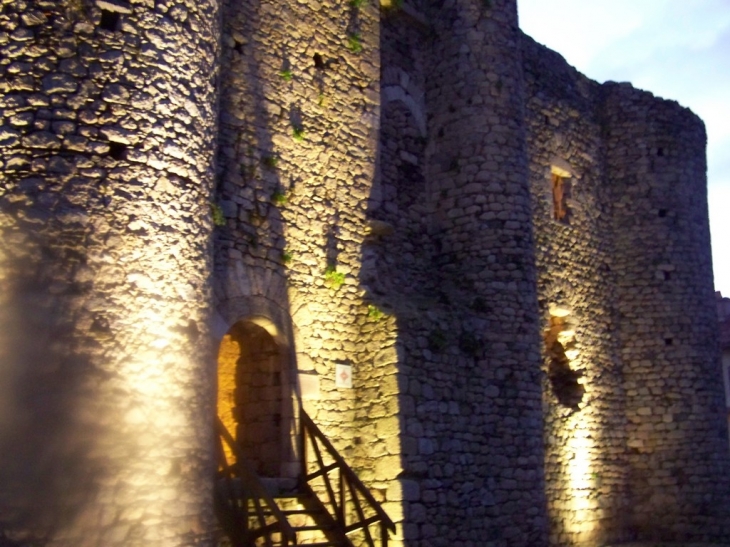 Le chateau - Les Châtelliers-Châteaumur