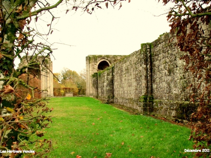 Abbaye de la Grainetière XIIe emplacement de l'ancienne église - Les Herbiers