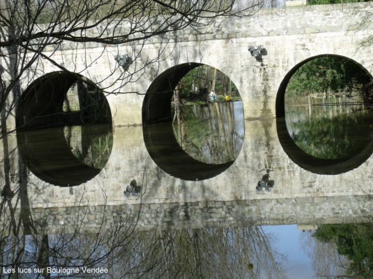 En se promenant sur les bords de la Boulogne - Les Lucs-sur-Boulogne