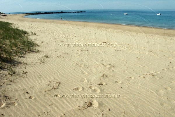 Plage des Conches - Longeville-sur-Mer