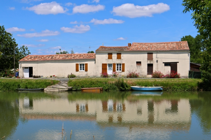 Au bord de la Sèvre Niortaise. - Maillé