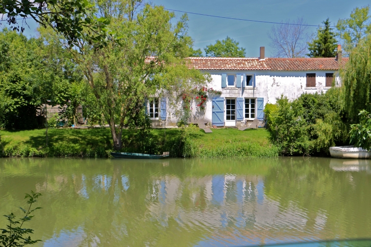 Au bord de la Sèvre Niortaise. - Maillé