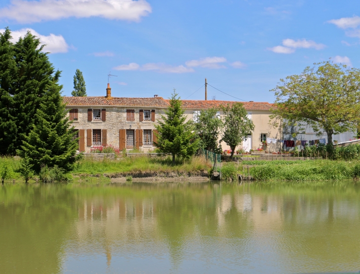 Au bord de la Sèvre Niortaise. - Maillé