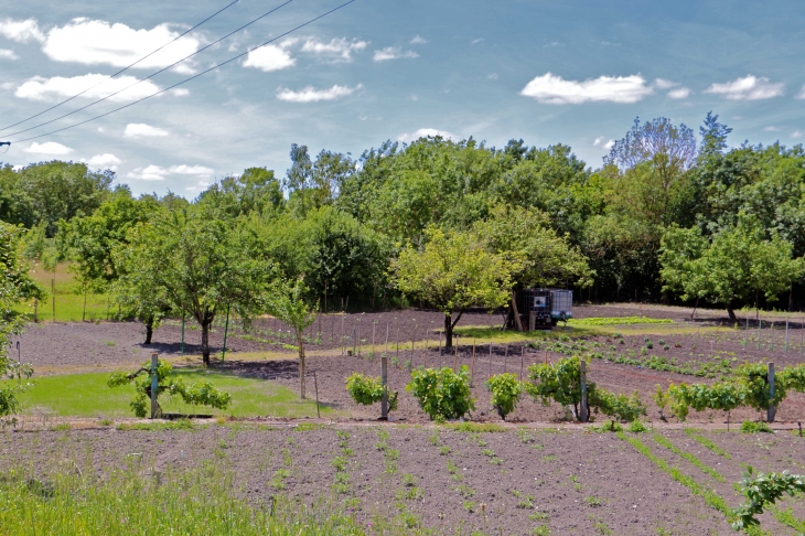 Beau jardin près du port. - Maillé