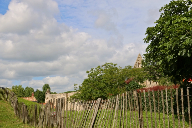 Les abords de l'Abbaye. - Maillezais