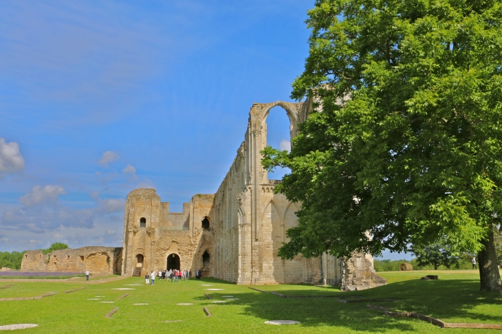 L'église abbatiale. - Maillezais