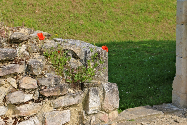 Les ruines de l'abbaye - Maillezais