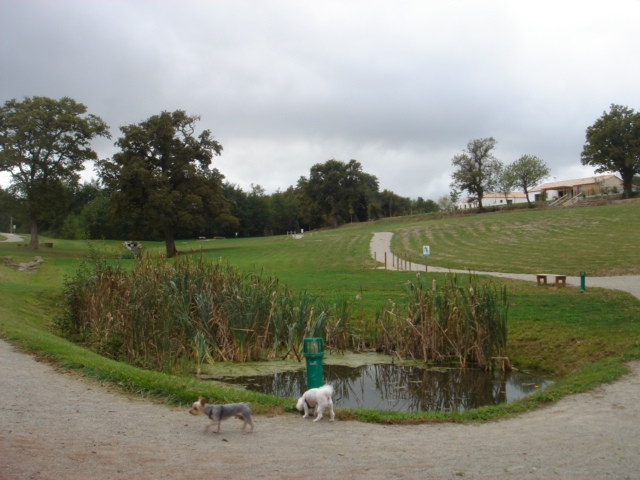 Ballade au parc de Moutiers les Mauxfaits - Moutiers-les-Mauxfaits