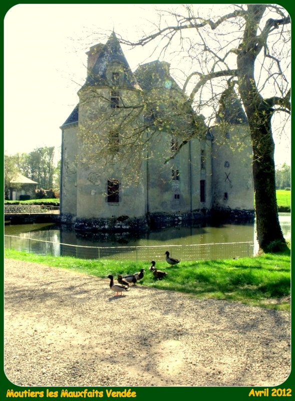 Chateau de la Cantaudière - Moutiers-les-Mauxfaits