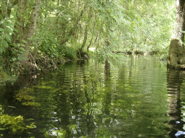 Rivière La Corde à Mouzeuil Saint Martin - Mouzeuil-Saint-Martin