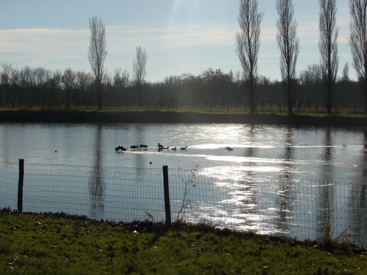 Plan d'eau des perles - Nalliers