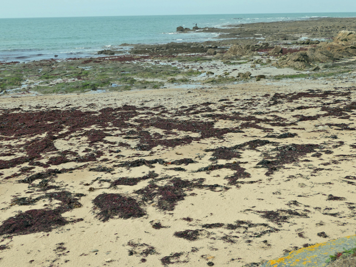 L'Herbaudière : la pointe de l'Herb - Noirmoutier-en-l'Île