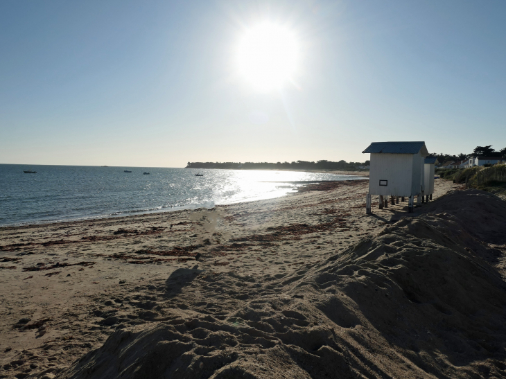 Le Vieil : la plage de Clère - Noirmoutier-en-l'Île