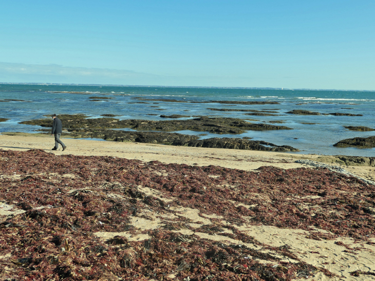 Le Vieil : la plage de Mardi Gras - Noirmoutier-en-l'Île