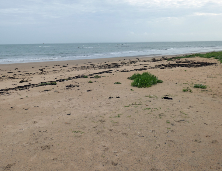 La Conche des Normands : la plage - Noirmoutier-en-l'Île