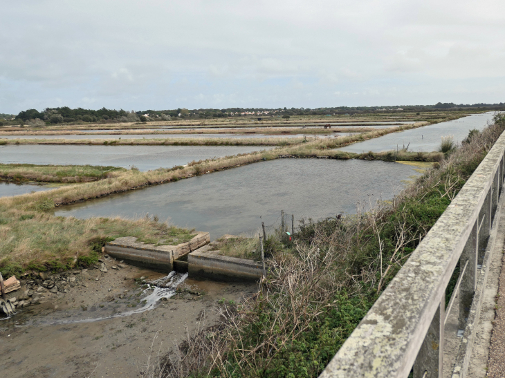 La jetée Jacobsen : vue sur le marais de Mullenbourg - Noirmoutier-en-l'Île