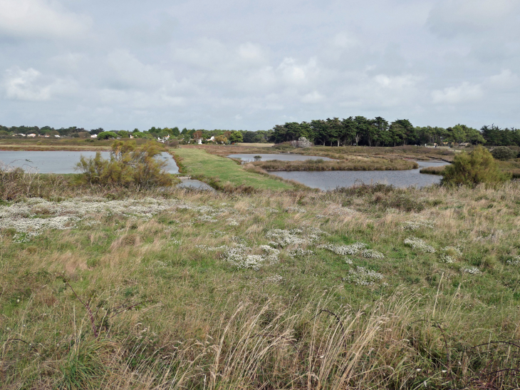 La jetée Jacobsen : vue sur le marais de Mullenbourg - Noirmoutier-en-l'Île