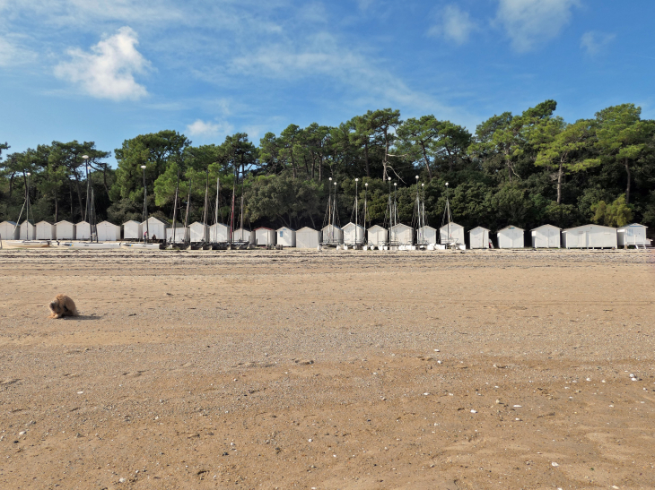 Photo à Noirmoutierenl'Île (85330)  La plage des Sableaux  cabines