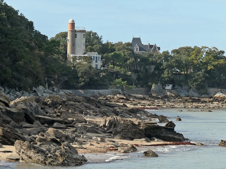 Le bois de la Chaise au dessus des rochers - Noirmoutier-en-l'Île