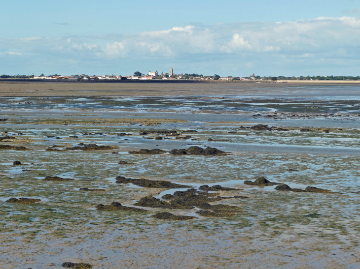 Le village vu de la Guérinière - Noirmoutier-en-l'Île