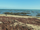 Photo précédente de Noirmoutier-en-l'Île Le Vieil : la plage de Mardi Gras