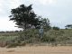 La Conche des Normands : au bord de la plage