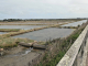 la jetée Jacobsen : vue sur le marais de Mullenbourg