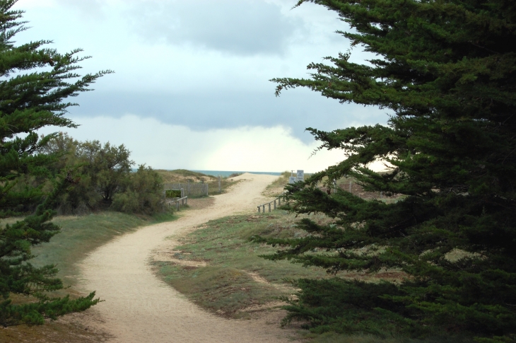 Le piste cyclable  - Notre-Dame-de-Monts