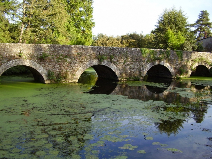 Pont sur la boulogne pres de la mairie - Rocheservière