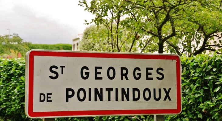  - Saint-Georges-de-Pointindoux