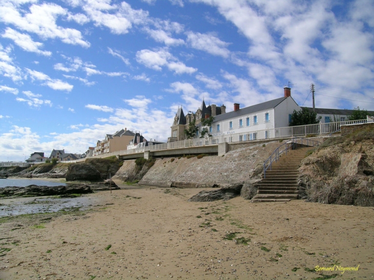 Boisvinet - Saint-Gilles-Croix-de-Vie