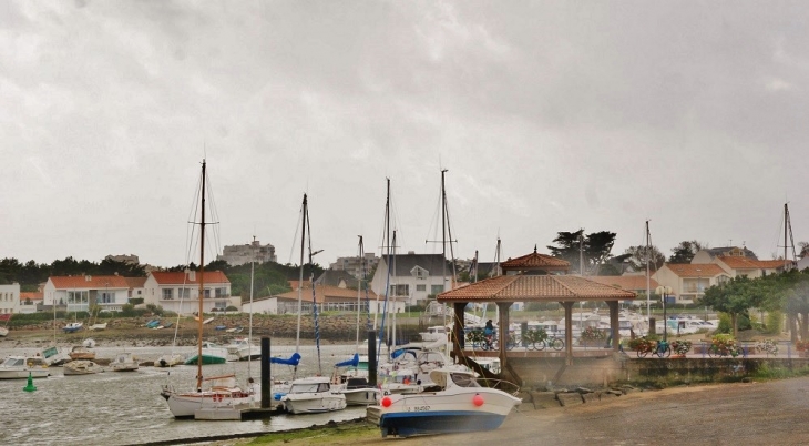 Le Port - Saint-Gilles-Croix-de-Vie