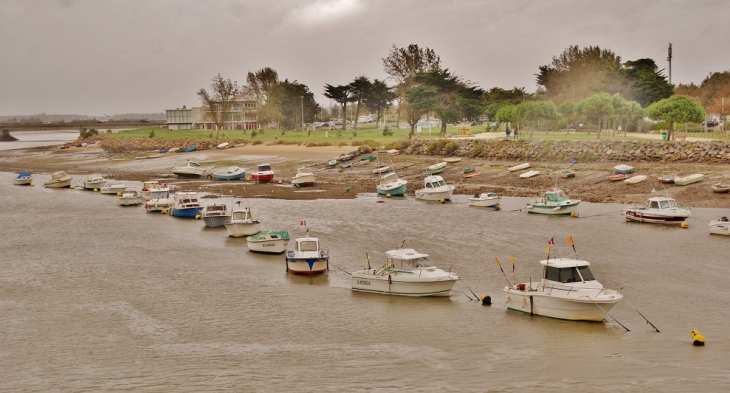 Le Port - Saint-Gilles-Croix-de-Vie