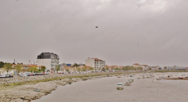 Le Port - Saint-Gilles-Croix-de-Vie