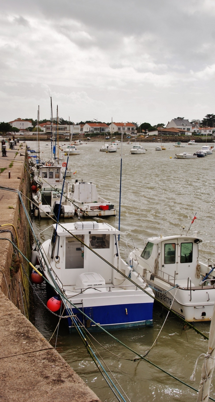 Le Port - Saint-Gilles-Croix-de-Vie